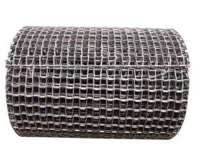 حزام سلسلة شبكة أسلاك مسطحة قوية 316SS للناقل