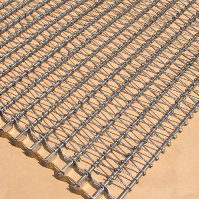 مخصصة مقاومة التآكل الفاكهة الشوكولاته حزام ناقل سلسلة مدفوعة 1