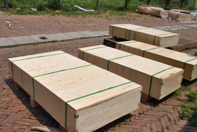 مخصصة مقاومة التآكل الفاكهة الشوكولاته حزام ناقل سلسلة مدفوعة 7