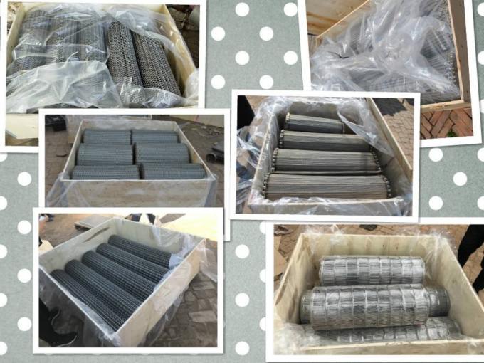 SUS316L الفولاذ المقاوم للصدأ الحزام الناقل تلفيق شبكة الأسلاك 6